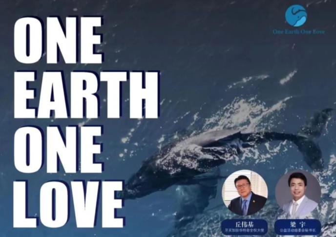World Oceans Day : One Earth One Love For Ocean Protection世界海洋日：一个地球一个爱，守护每一片蔚蓝！