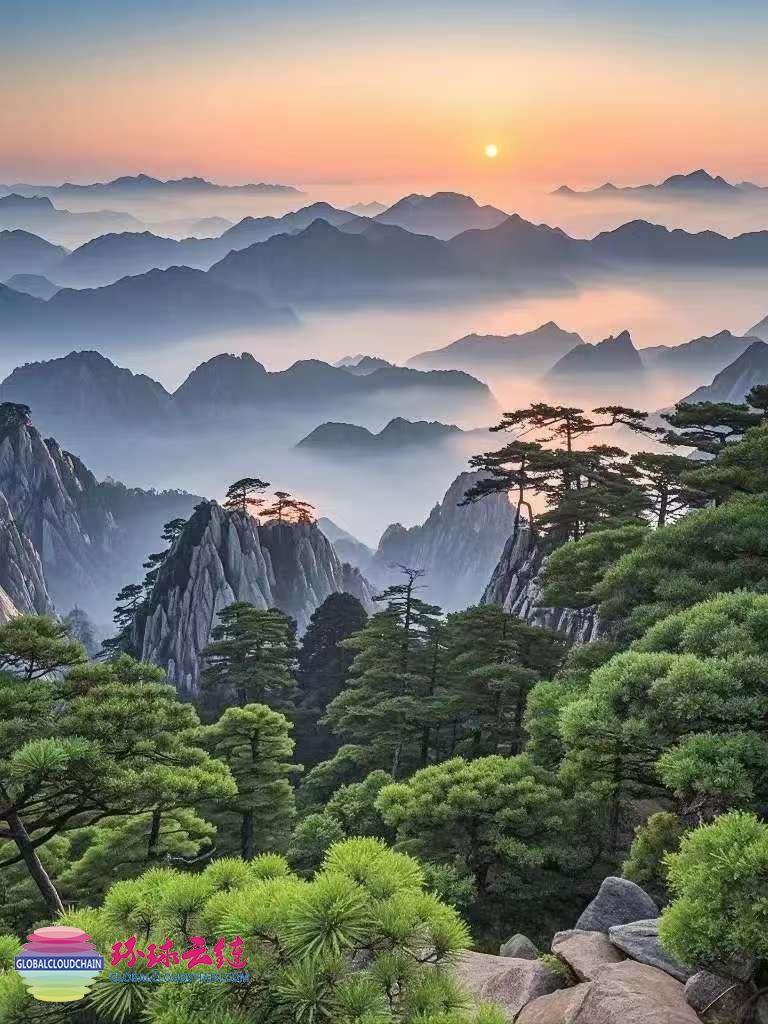 8-微信图片_20250320164117.jpg